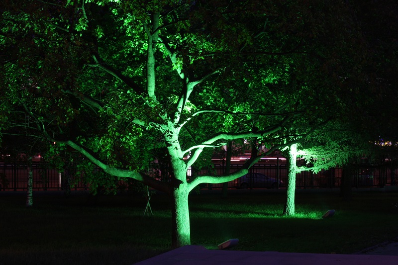 Декоративное освещение деревьев