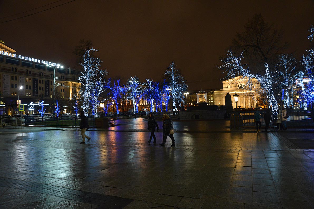 "Светодиодная шнуровка" деревьев на Театральной площади